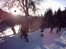IMG_0020